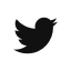 Twitter Page